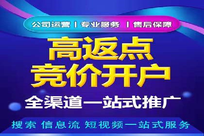 百度竞价包年推广策略深度解读与案例分析